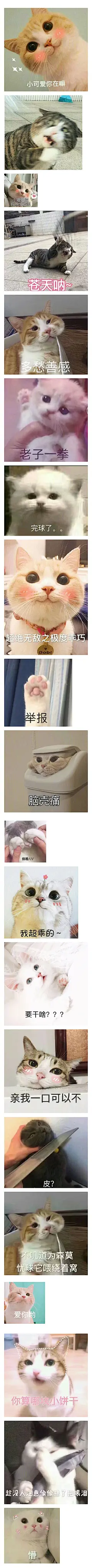 有哪些特别萌，特别可爱的表情包？
获取方式戳图9哟~ ​​​​