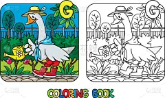 字母,字母表次序,园艺,彩色书,丘陵鹅,英文字母G,喷壶,郁金香,鸟类,农场