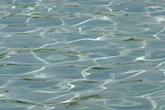 水波纹