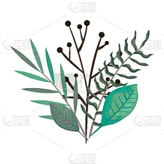 风格,枝,叶子,计算机图标,华丽的,贺卡,婚礼,枝繁叶茂,自然美,布置