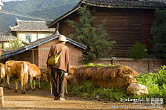 lam9z采集到行摄泸沽湖-多图, 心形