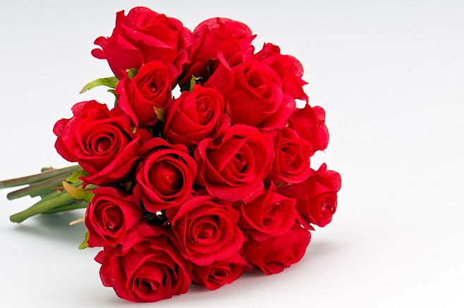 玫瑰花 86PpVV26zI.jpg (...