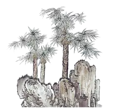 古风中国风古典水墨松树松枝迎客松透明免抠PNG图案 PS设计素材 (38)