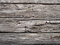 wood-texture-trees
