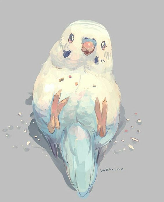 (1) Pinterest