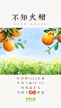不知火柑虚实3