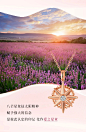 Summer Flora | 醉入花镜 浪漫一夏 : 寻找自己的颈间花束