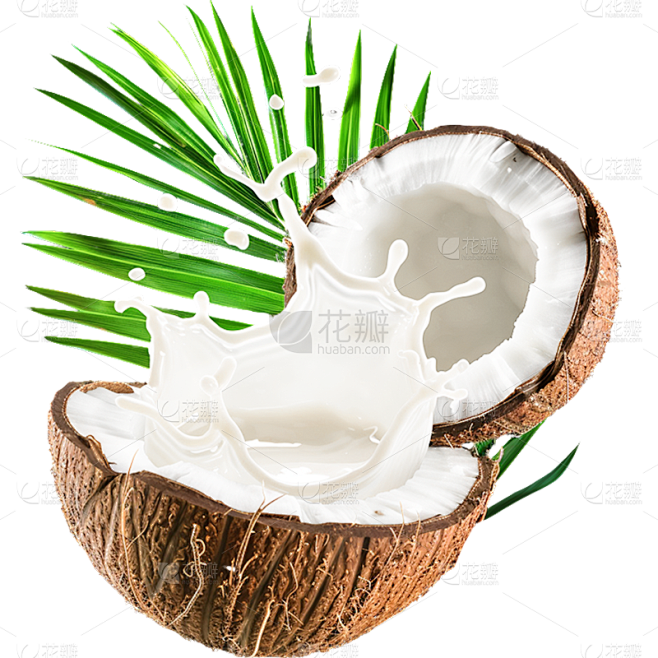 夏季果蔬系列实景多个椰子喷溅通用元素素材