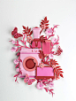 Helen Musselwhite — Handsome Frank Illustration Agency : Helen’s skill at the laborious art of paper engineering is second to none.