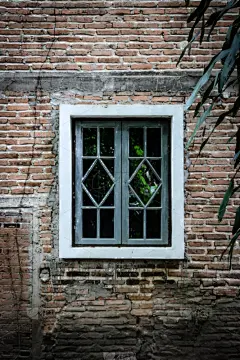 古董,古典式,窗户,欧洲,房屋,时尚,砖墙,垂直画幅,美,边框