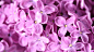 20130510102325.jpg (3840×2133)