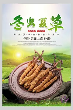 唯美插图高级感绿冬虫夏草养生海报