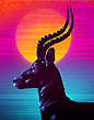 Neon Animals : Neon Animals, a personal project to build new digital paint skills in Photoshop.