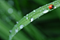 节气