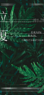 立夏节气海报-源文件