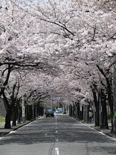 希年99采集到道路-地面