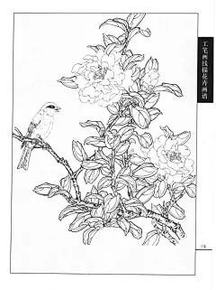 工笔画线描花卉画谱(茶花篇) 