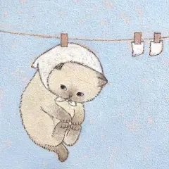 小狗和小猫永远是好朋友 - 小红书