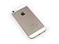 探索机身内部 金色版iPhone 5s拆解图