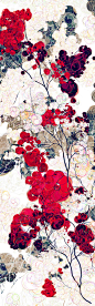 rosa flora (2015) : made with code (processing)collaged with PS