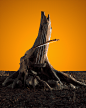 Behance  修图 on Behance