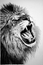 Astonishing Pencil Illustrations by Franco Clun,Astonishing Pencil Illustrations by Franco Clun