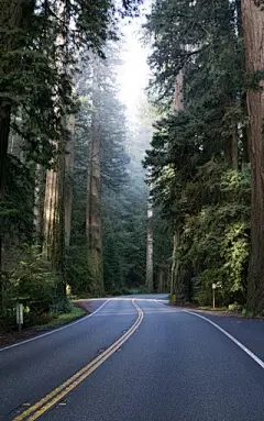 绝美道路风光图片壁纸2 第5页-ZOL手机壁纸