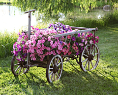 饶阿志=植物墙1花艺软装1花艺培训采集到装饰DP点花艺