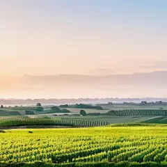 农村田野风光壁纸集锦