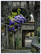 Ancient Archway, Lombardy, Italy