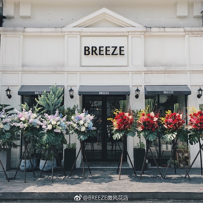 BREEZE微风花店的照片 - 微相册