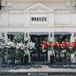 BREEZE微风花店的照片 - 微相册