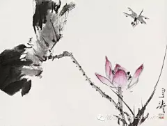 清新秀丽情趣盎然：王雪涛写意荷花作品