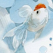 海狸哟采集到水彩
