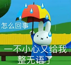 一不小心又给我整无语了