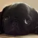 牧小牧