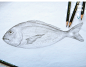 fish on Behance