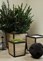 boxwood planter from <a href="http://www.formationsusa.com" rel="nofollow" target="_blank">www.formationsusa...</a>.