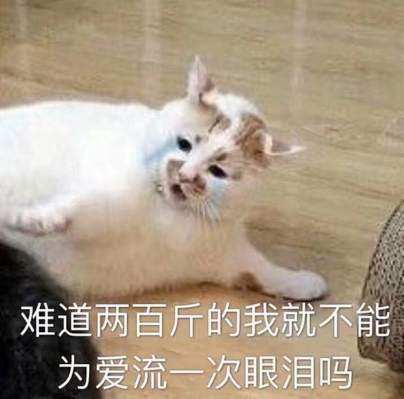 【图片】小猫咪表情包，简直可爱炸了。【吸...