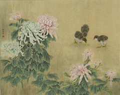 风吹见月明采集到工笔画，荷花