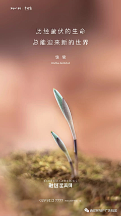 父皇~大人采集到待归类采集