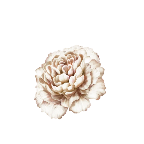 手账素材拼贴植物免扣png 花 复古风素材 ps-花瓣网