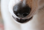 p_large_tPEm_26820007bd405c41
