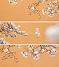 玉兰花
