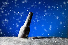 冻结的,啤酒瓶,天空,留白,水平画幅,夜晚,雪,无人,圣诞树