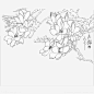 中国风手绘玉兰花_新图网 https://ixintu.com 玉兰花 中国风 美丽 创意 设计 花朵 矢量 玉兰花矢量图