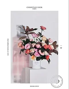 DIOR迪奥Les Parfums香氛之旅