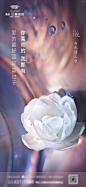 【源文件下载】 海报 房地产 公历节日 白色情人节 160666