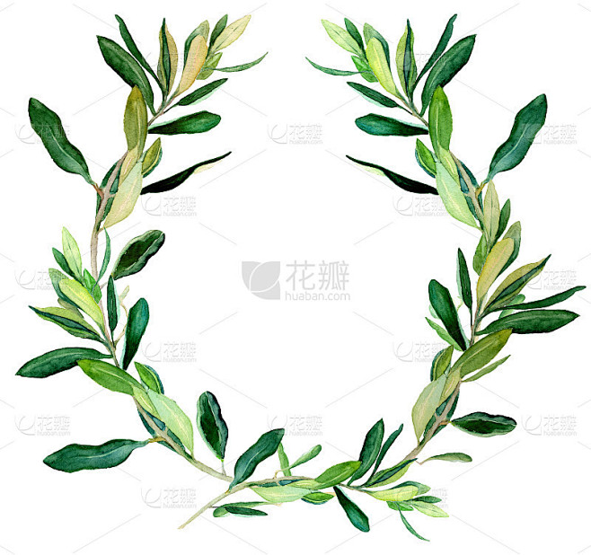月桂花冠-橄榄花冠