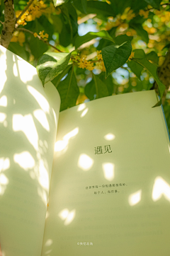 卷帘望月采集到手机壁纸